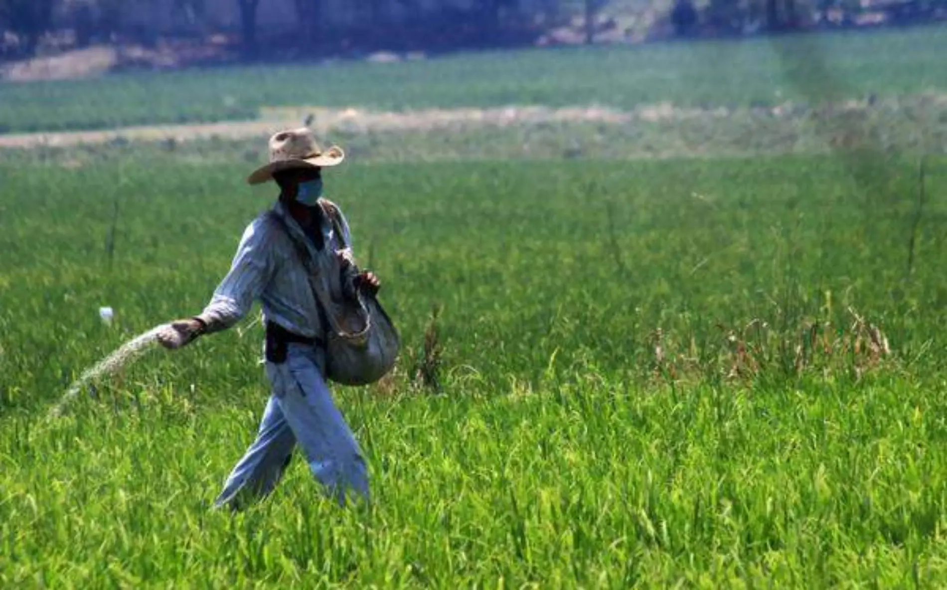 Ana Cristina Guevara Ramírez afirmó que el campo no está desprotegidoCUARTOSCURO